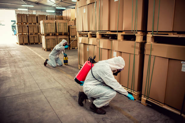 Best Mosquito Control Services  in Thatcher, UT