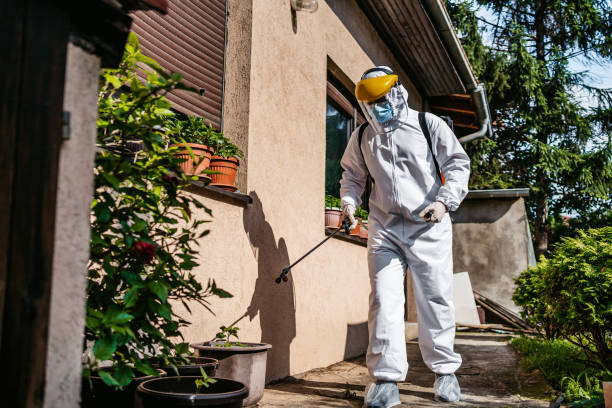 Best Residential Pest Control  in Thatcher, UT