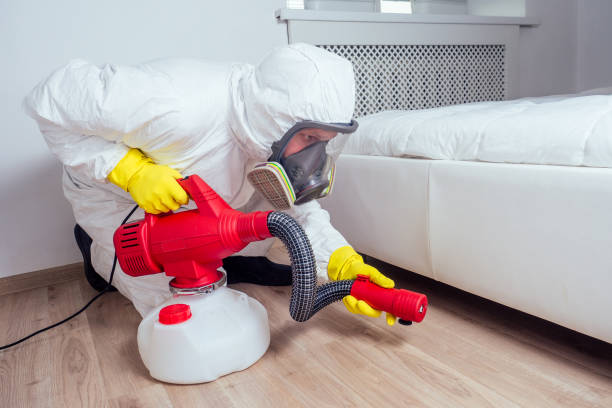 Best Commercial Pest Control Services  in Thatcher, UT