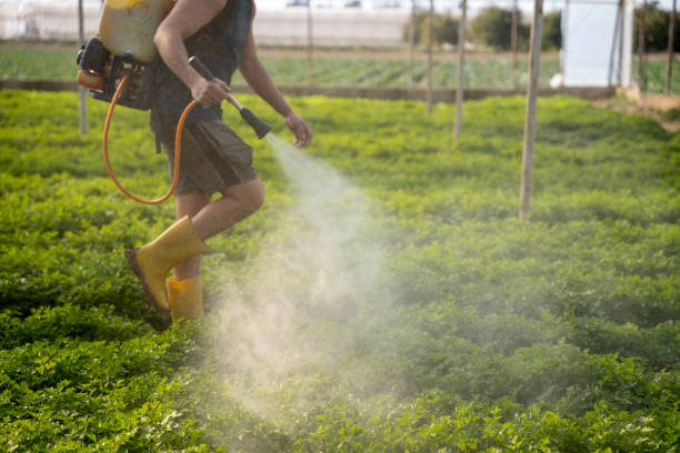 Best Affordable Pest Control Services  in Thatcher, UT