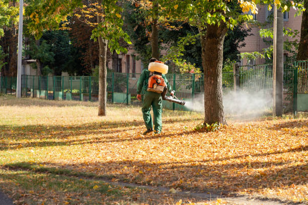Best Wasp Removal Services  in Thatcher, UT