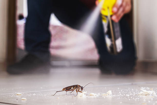 Best Wildlife Control Services  in Thatcher, UT