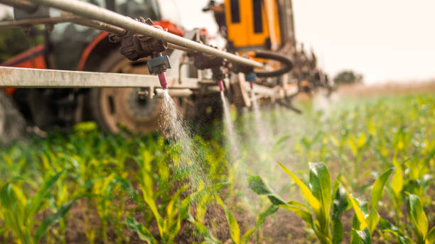 Professional Pest Control in Thatcher, UT