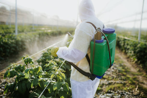 Best Insect Control  in Thatcher, UT